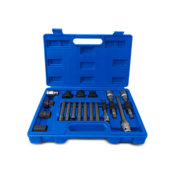 Puntas Dados Extractor Poleas Alternador 18 Pcs Universal