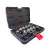Kit Probador de Pulso de Inyector Luces Noid 11Pcs