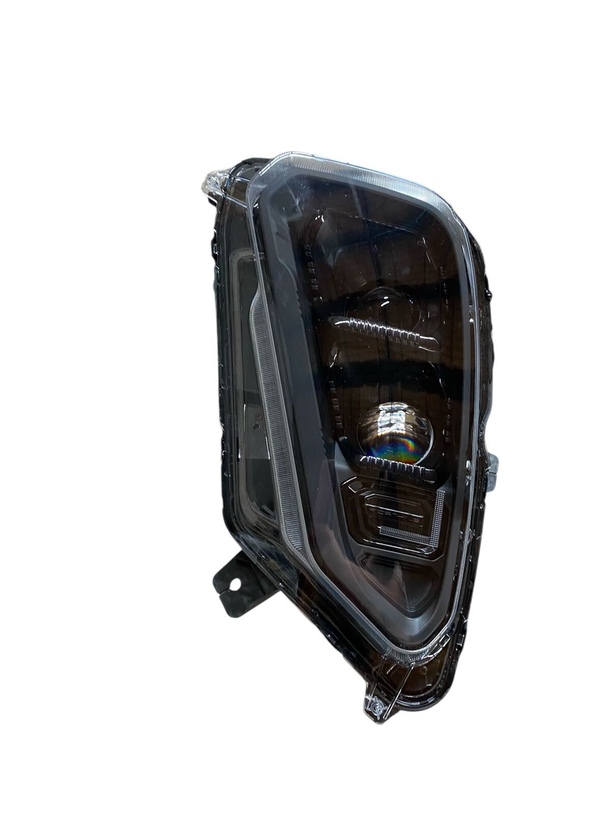 WhatsApp Image 2026-01-21 at 13.04.24 (1)